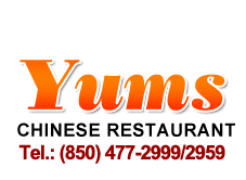 Yums Chinese Restaurant